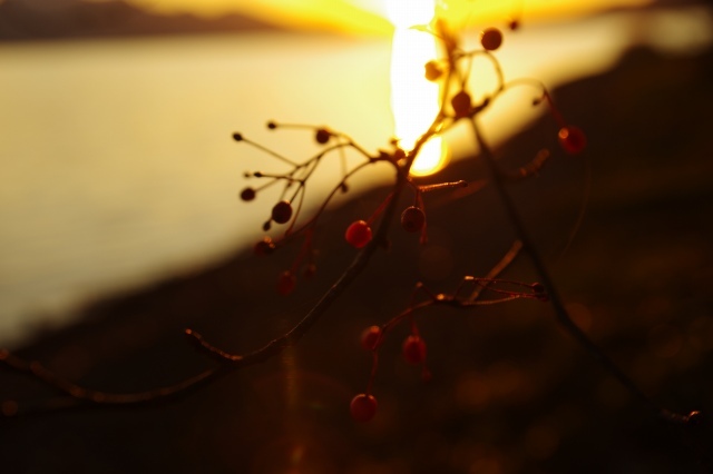 2011年12月2日sunset洞爺湖11.jpg