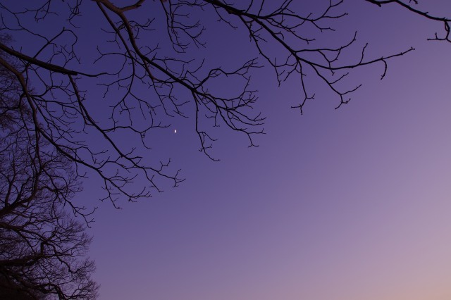 2011年12月2日sunset洞爺湖16.jpg