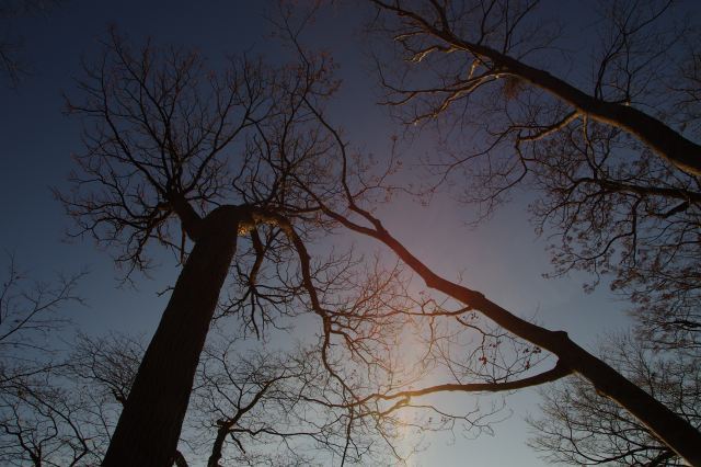 2011年12月2日sunset洞爺湖9.jpg